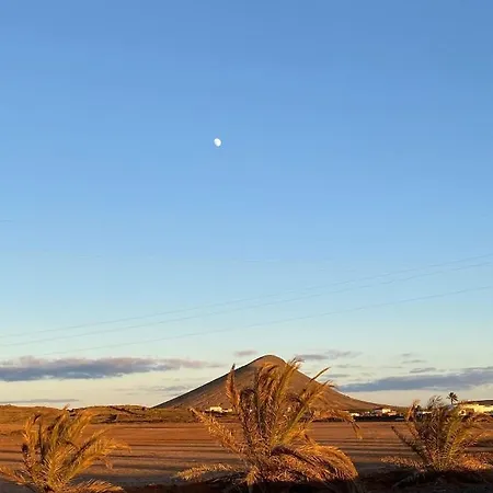 Molinos La Oliva